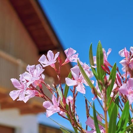 Ferienwohnung Zimmer Tittmoning Stadtplatz 27 Εξωτερικό φωτογραφία